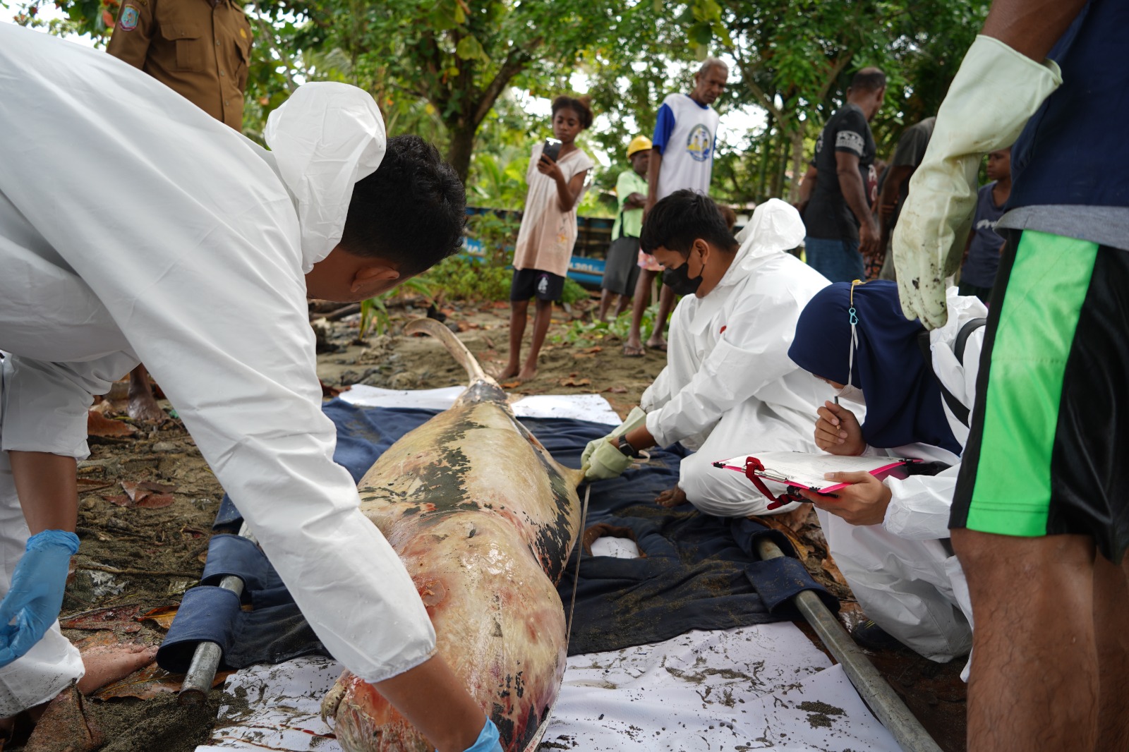 Patroli pengawasan laut oleh KKP